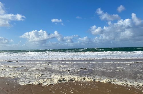 Petite vague écumeuse venant mourir sur le sable mouillé, vue face à la mer.